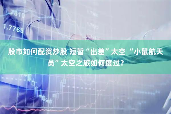 股市如何配资炒股 短暂“出差”太空 “小鼠航天员”太空之旅如何度过？