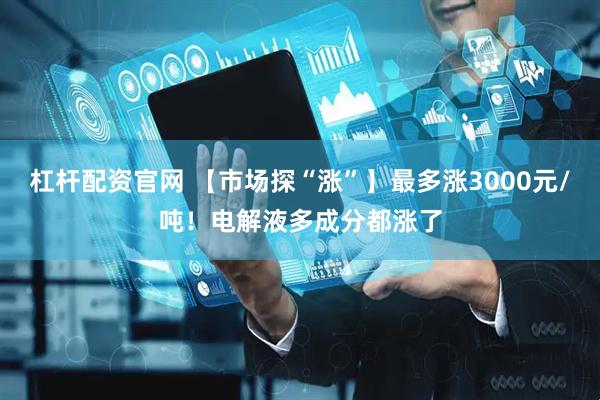 杠杆配资官网 【市场探“涨”】最多涨3000元/吨！电解液多成分都涨了