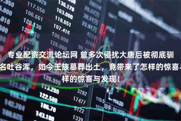 专业配资交流论坛网 曾多次侵扰大唐后被彻底驯服的著名吐谷浑，如今王族墓葬出土，竟带来了怎样的惊喜与发现！